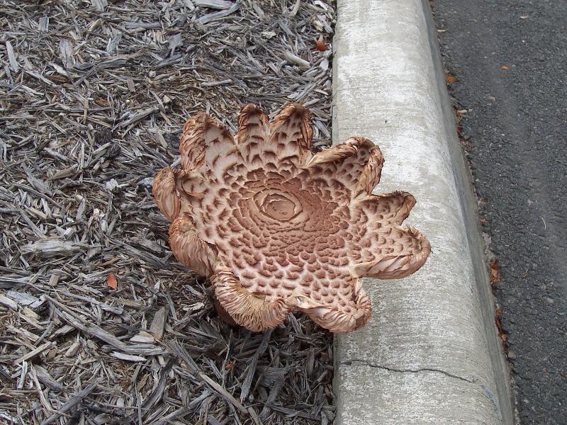 Central Virginia, September 2006