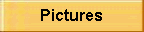Pictures